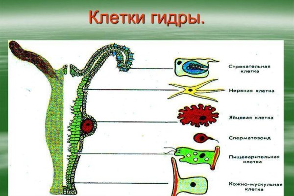 Как зарегистрироваться на кракене маркетплейс