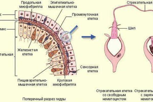 Кракен даркнет плейс